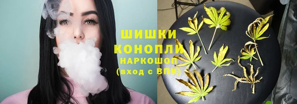 шишки Алзамай