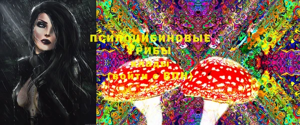метадон Алексеевка