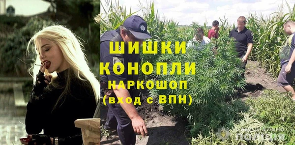 шишки Алзамай