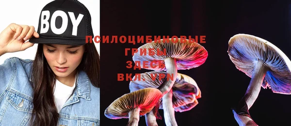шишки Алзамай