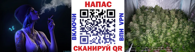 купить наркоту  Кыштым  Каннабис ГИДРОПОН 